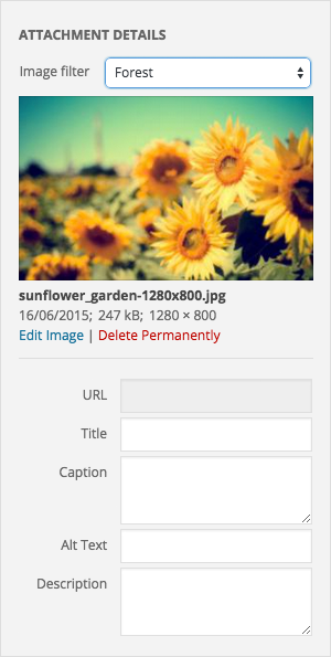 Image_Filter_Screenshot