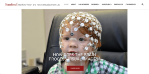 Stanford Vision and Neuro-Development Lab website