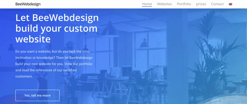 BeeWebdesign website design