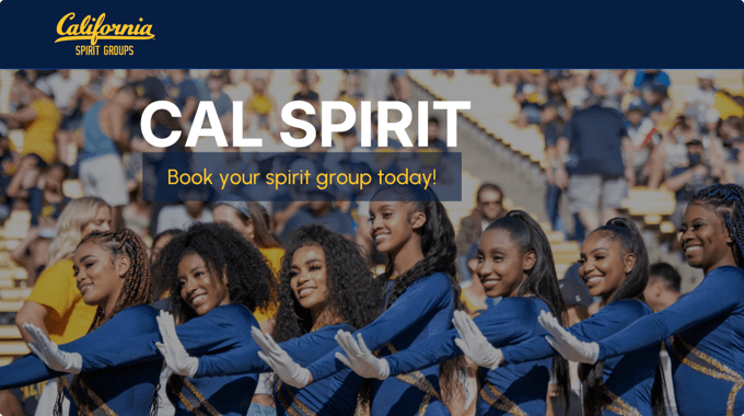 WPBakery Showcase california-spirit-groups-website